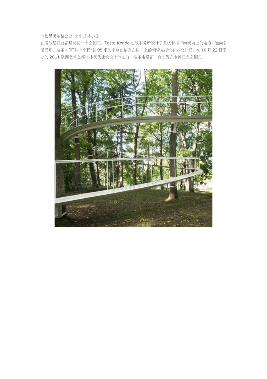 空中丛林小路.doc_第1页