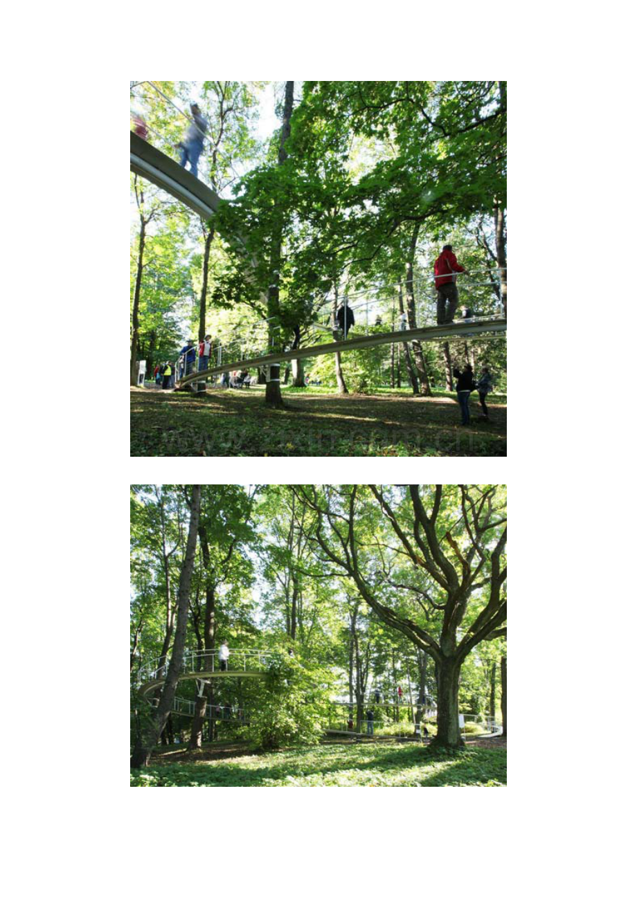 空中丛林小路.doc_第2页