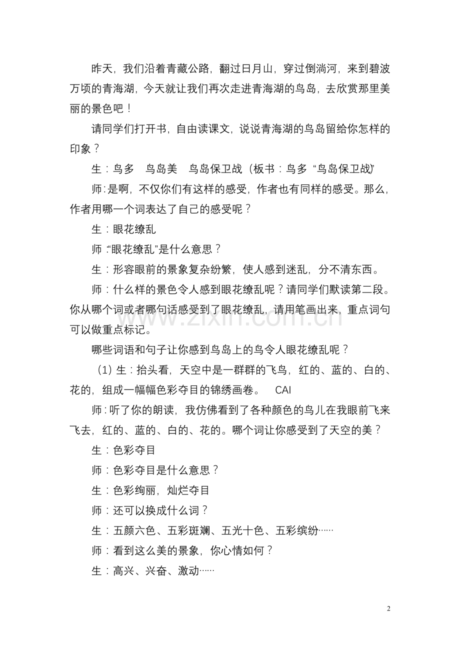 《神奇的鸟岛》教案.doc_第2页