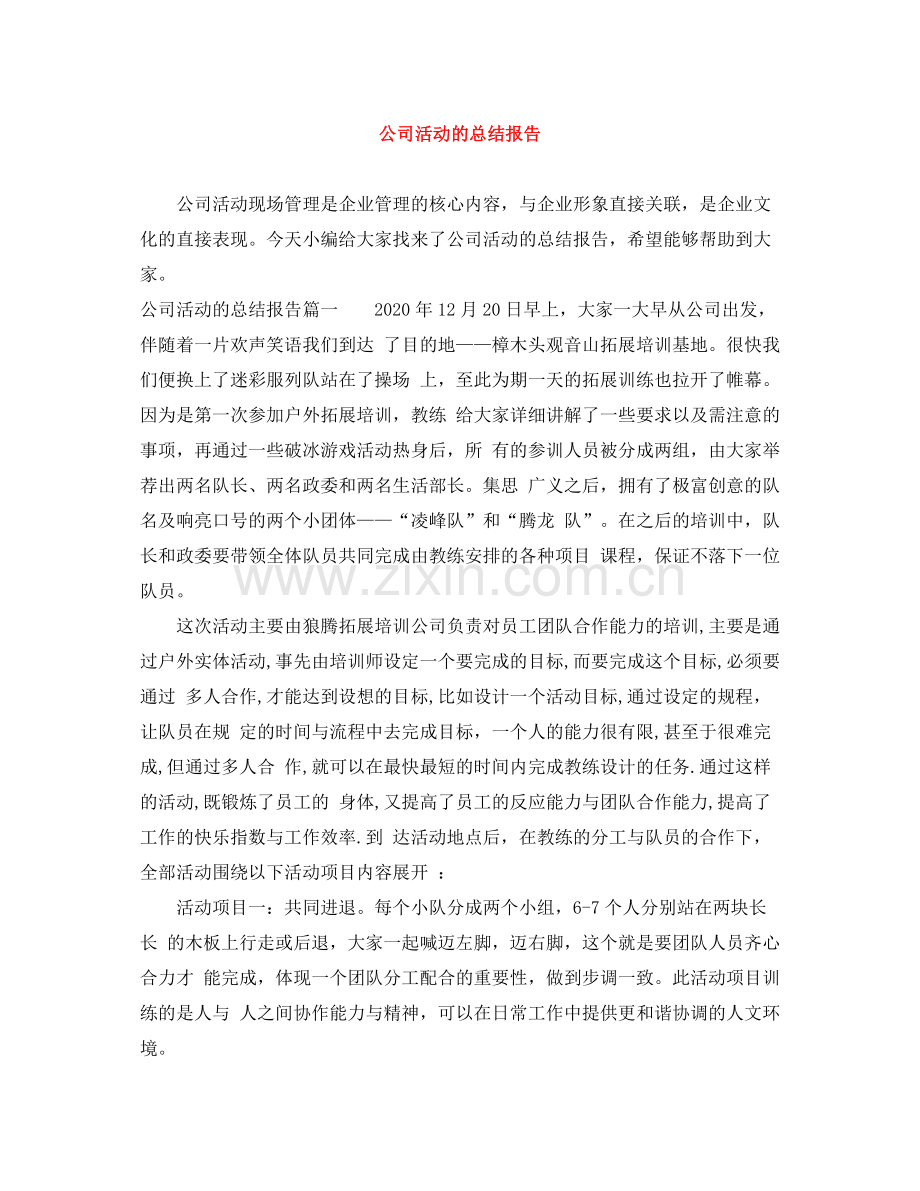 公司活动的总结报告.docx_第1页