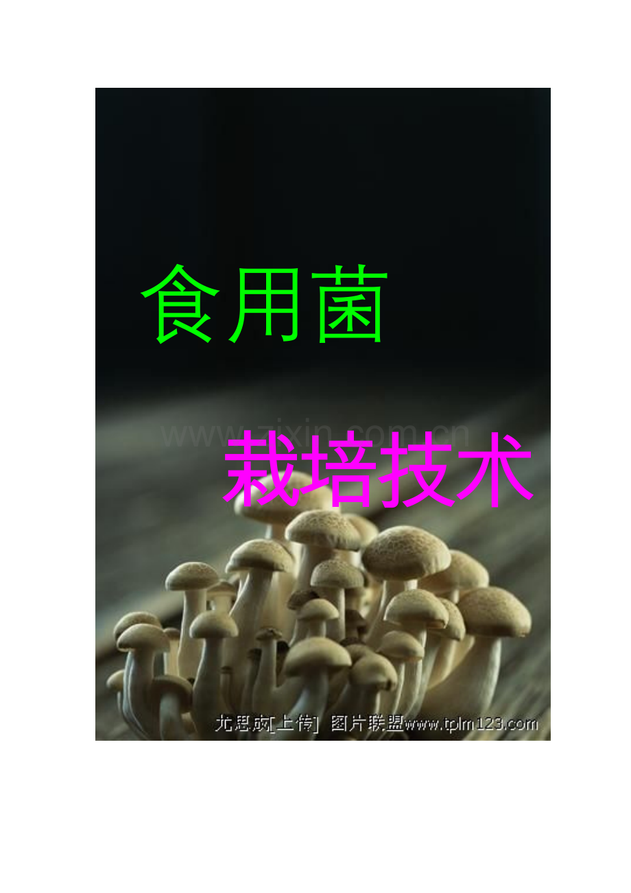 食用菌栽培技术(一)【综合基础】.doc_第1页