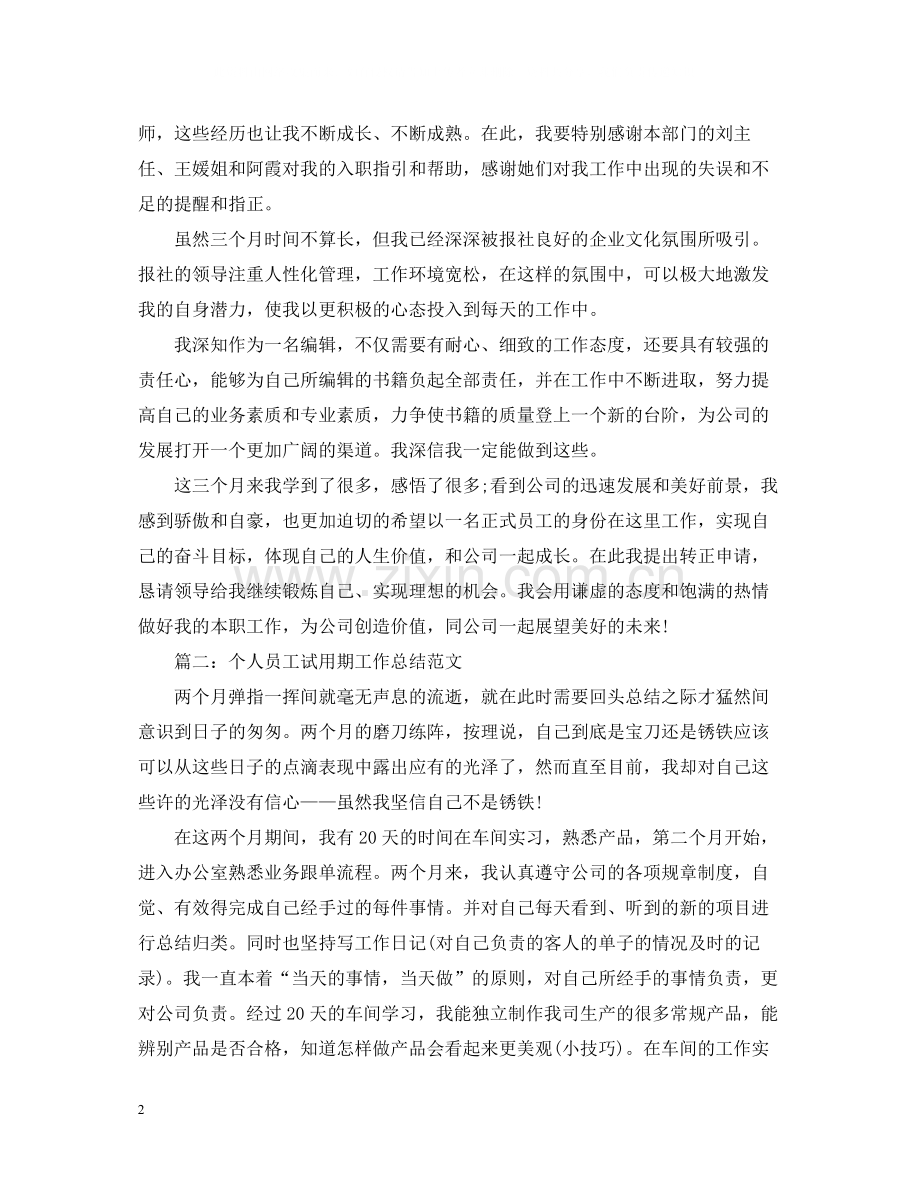 个人员工试用期工作总结范文.docx_第2页