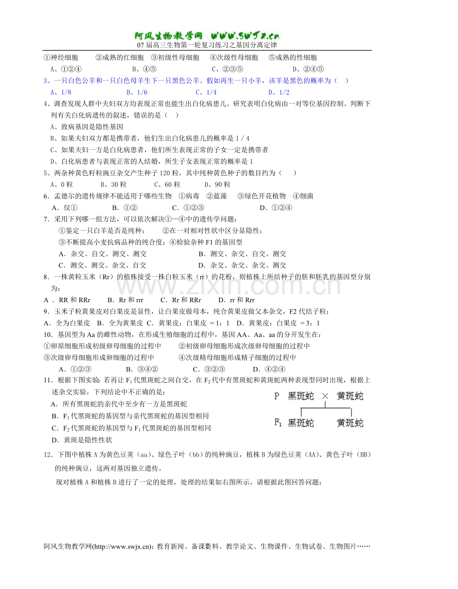 基因分离定律练习一.doc_第2页