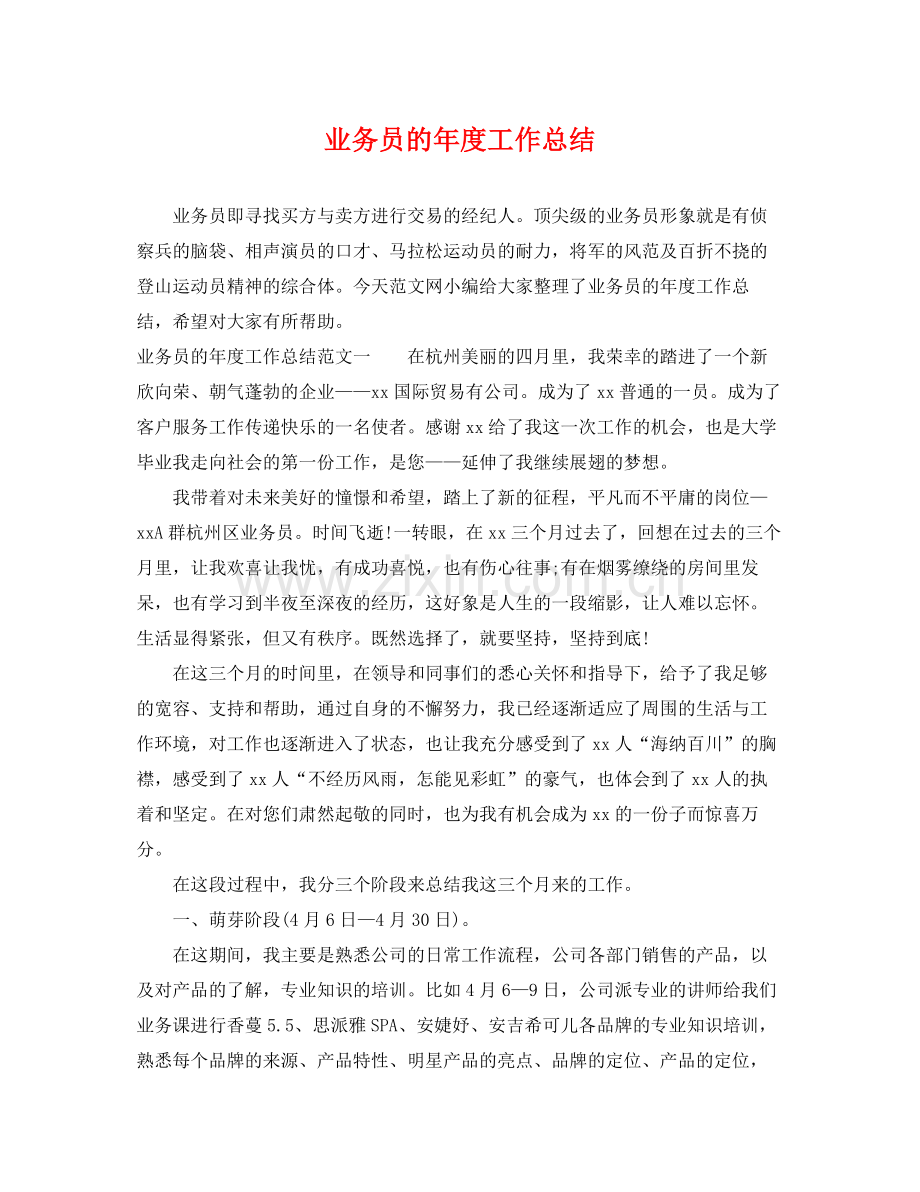 业务员的年度工作总结 .docx_第1页
