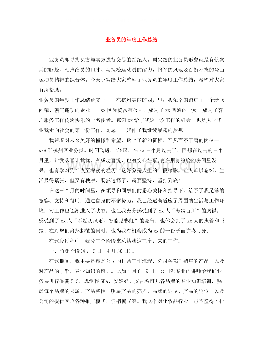 业务员的年度工作总结.docx_第1页