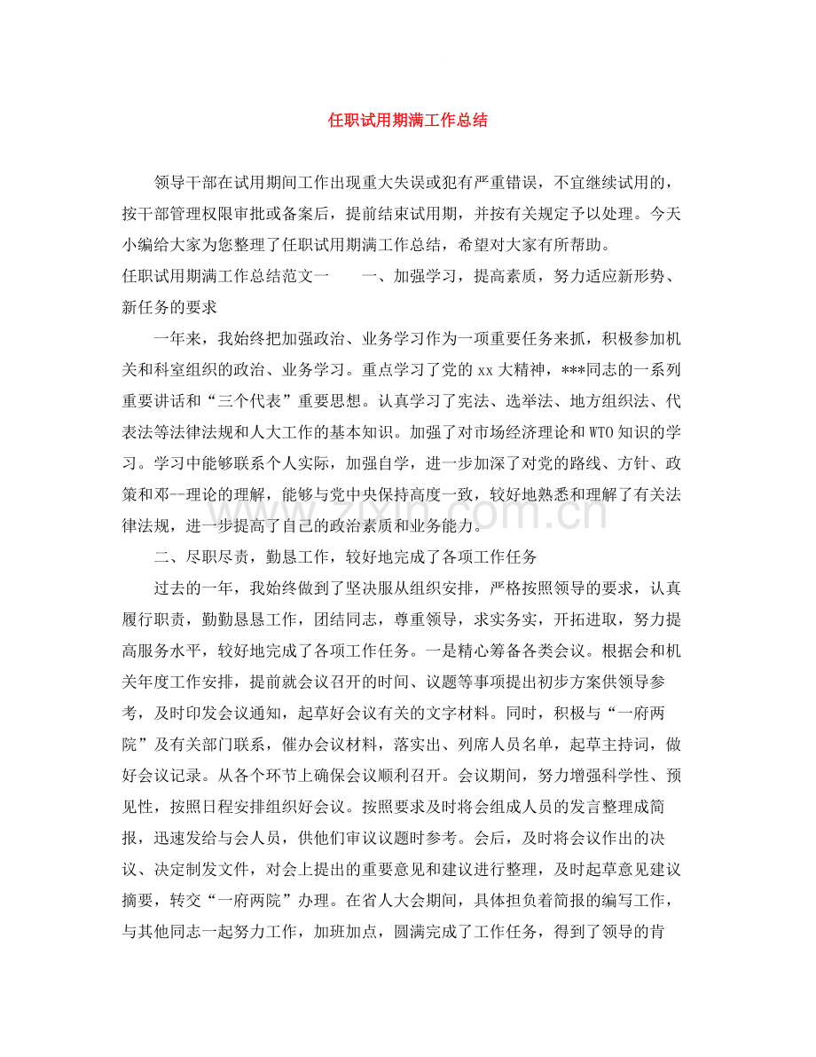 任职试用期满工作总结.docx_第1页