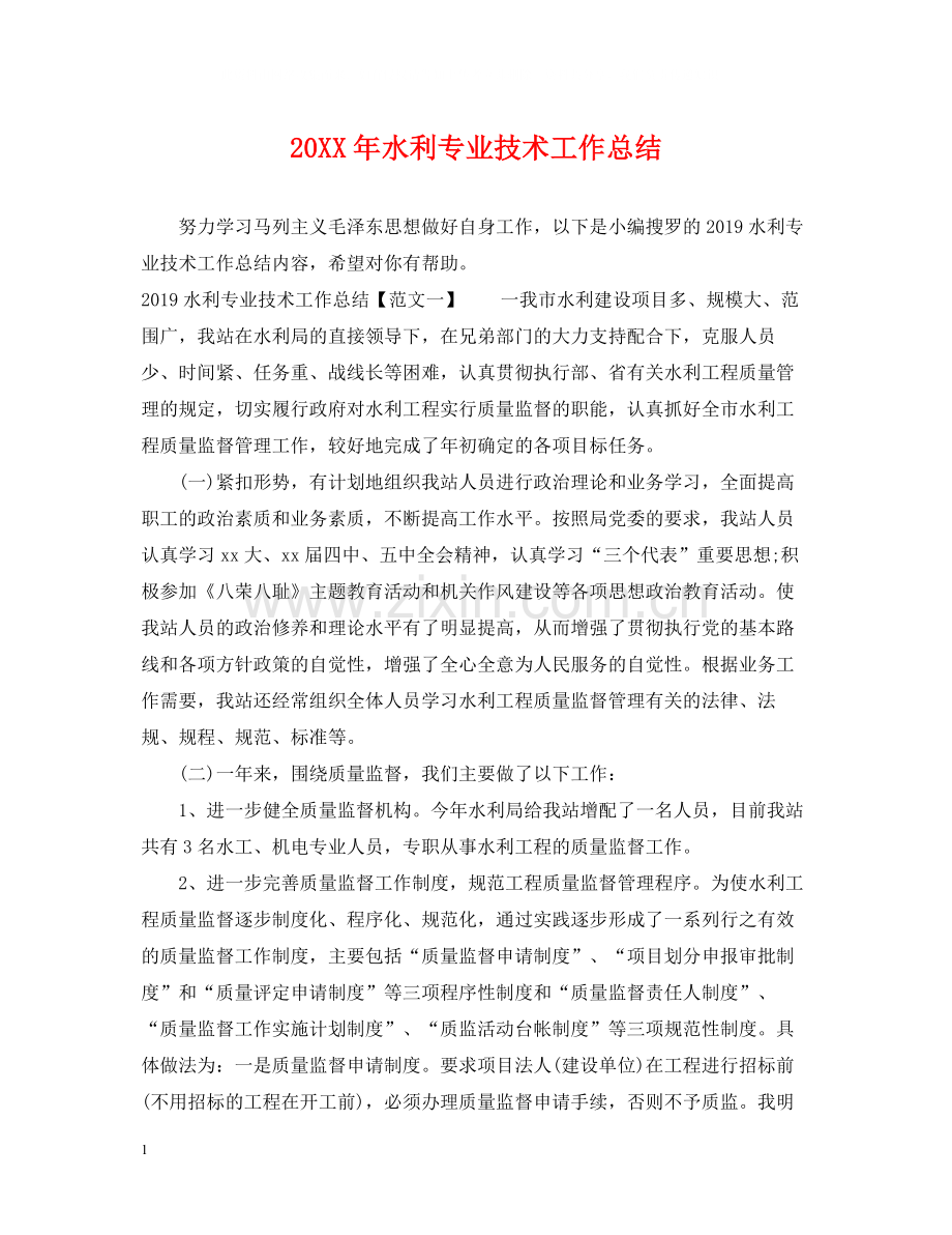 水利专业技术工作总结.docx_第1页
