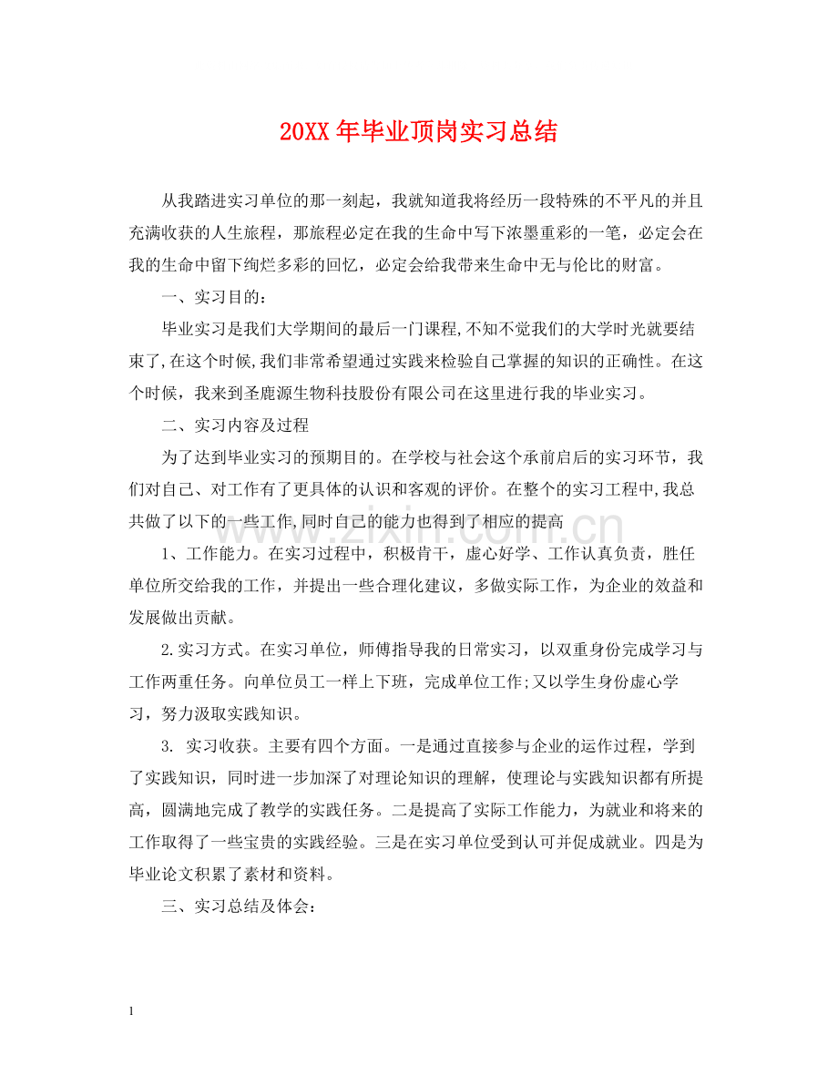 毕业顶岗实习总结.docx_第1页