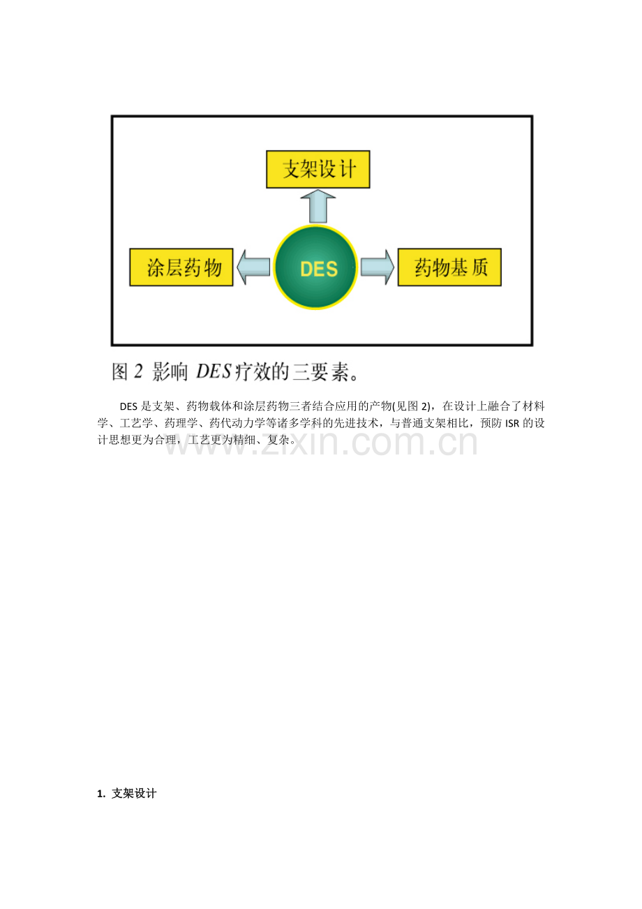 药物涂层支架.docx_第2页