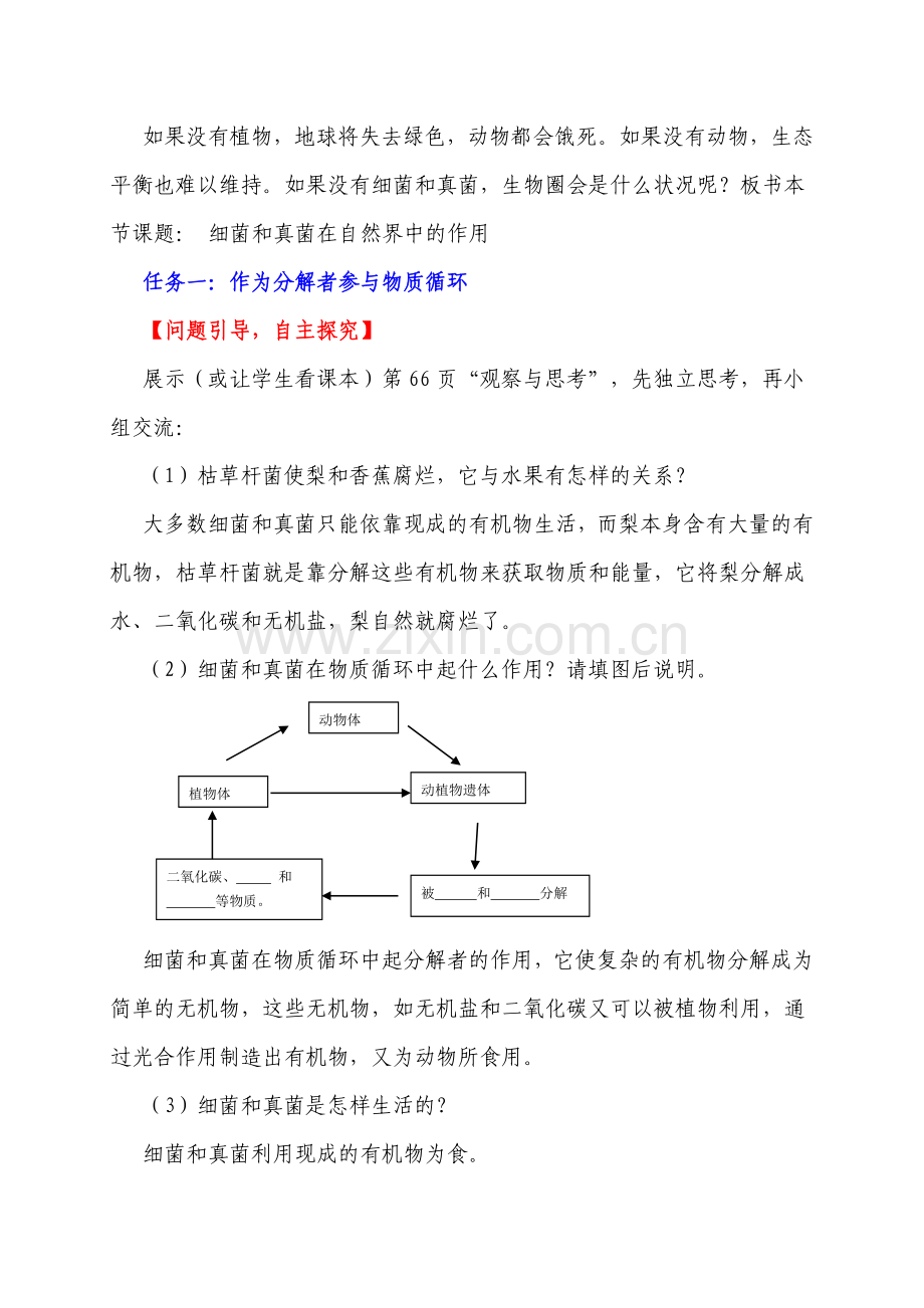 细菌及真菌在自然界中作用.doc_第2页