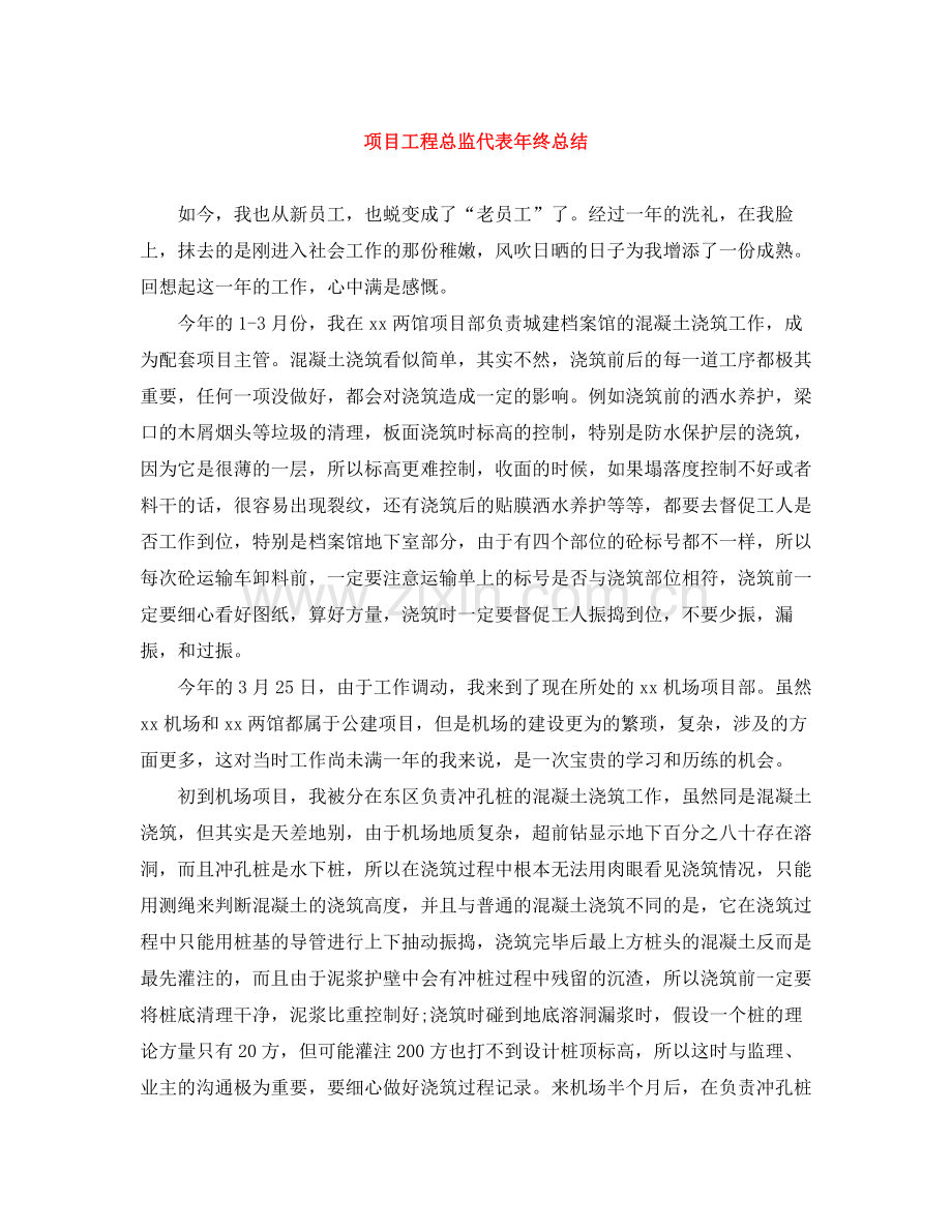 项目工程总监代表年终总结.docx_第1页