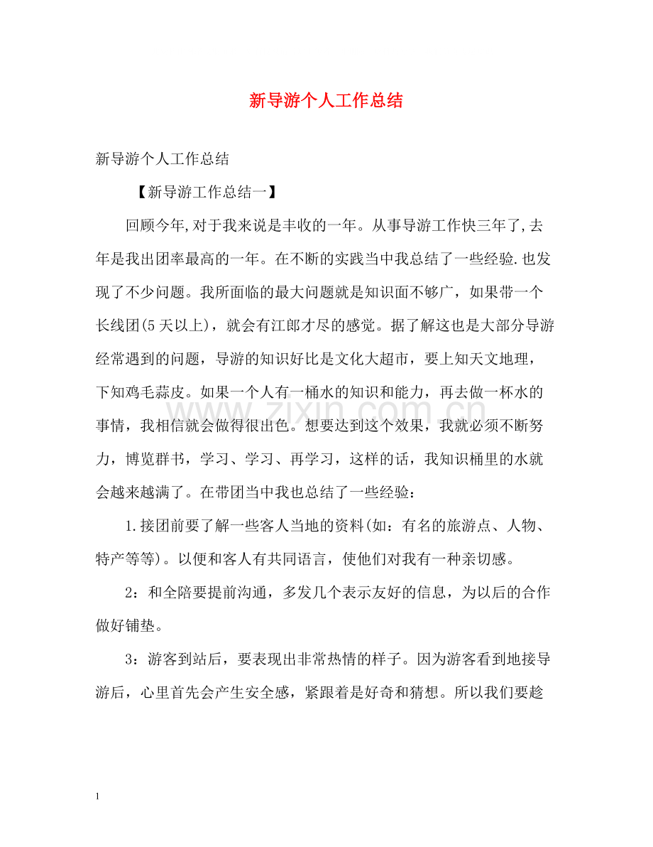 新导游个人工作总结.docx_第1页