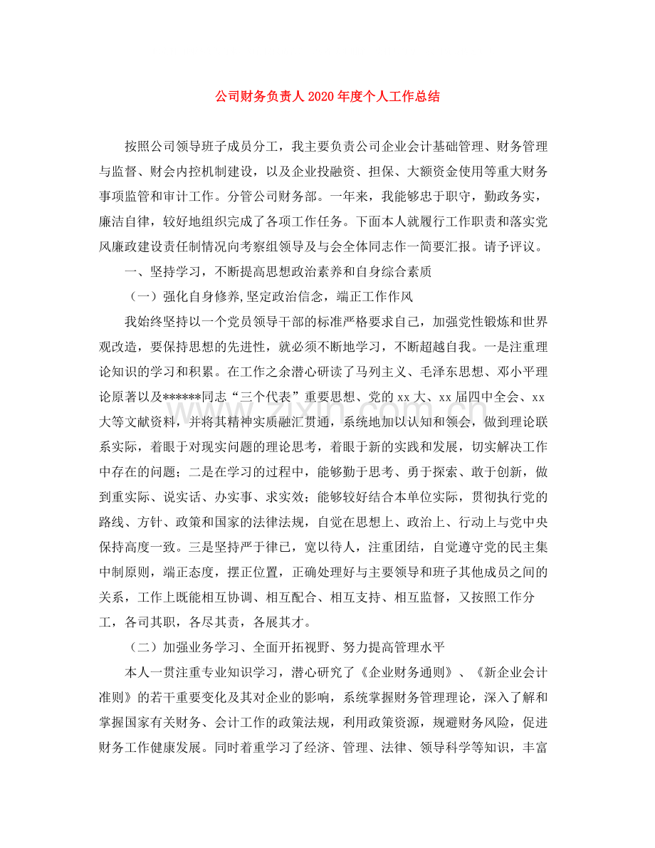 公司财务负责人年度个人工作总结.docx_第1页
