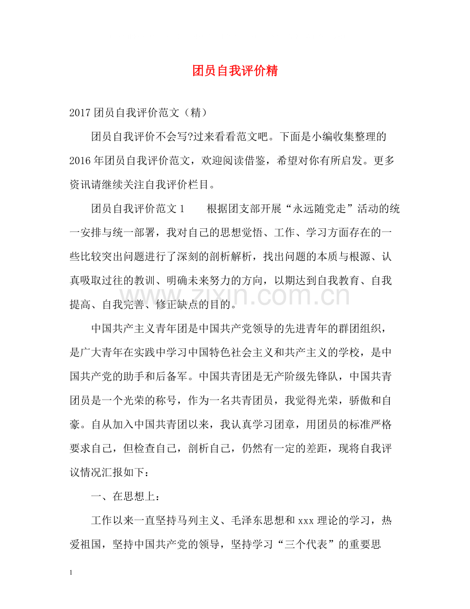 团员自我评价精.docx_第1页