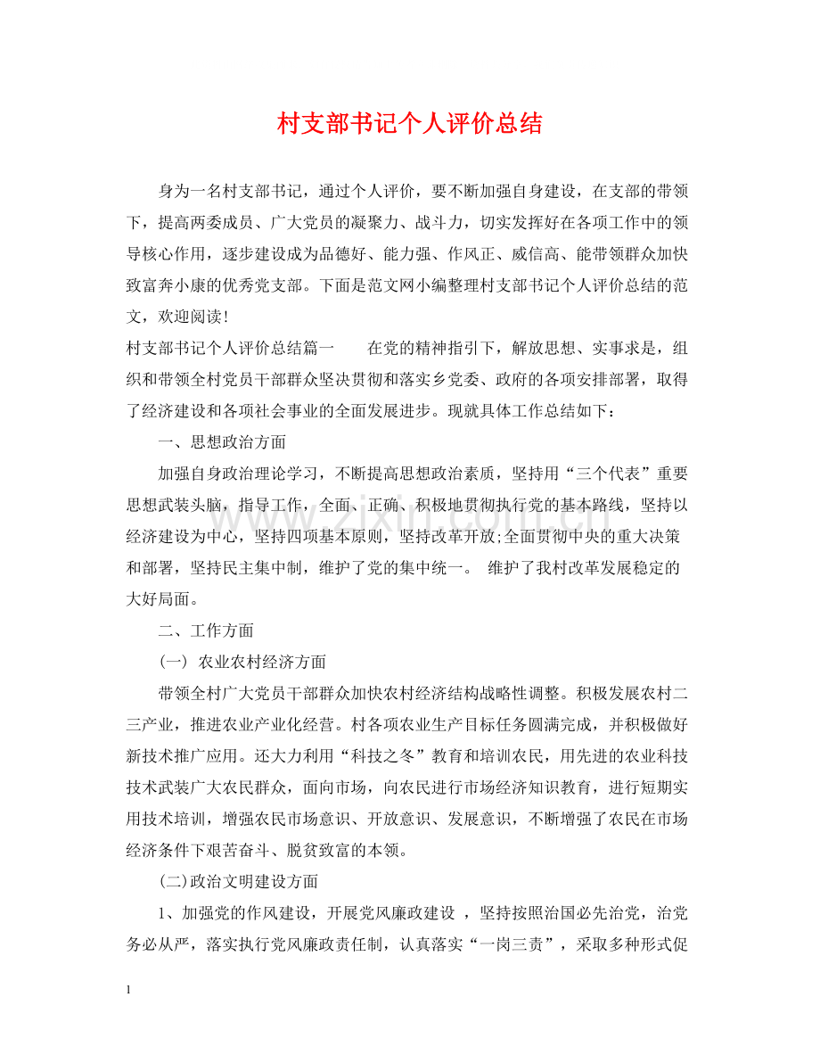 村支部书记个人评价总结.docx_第1页