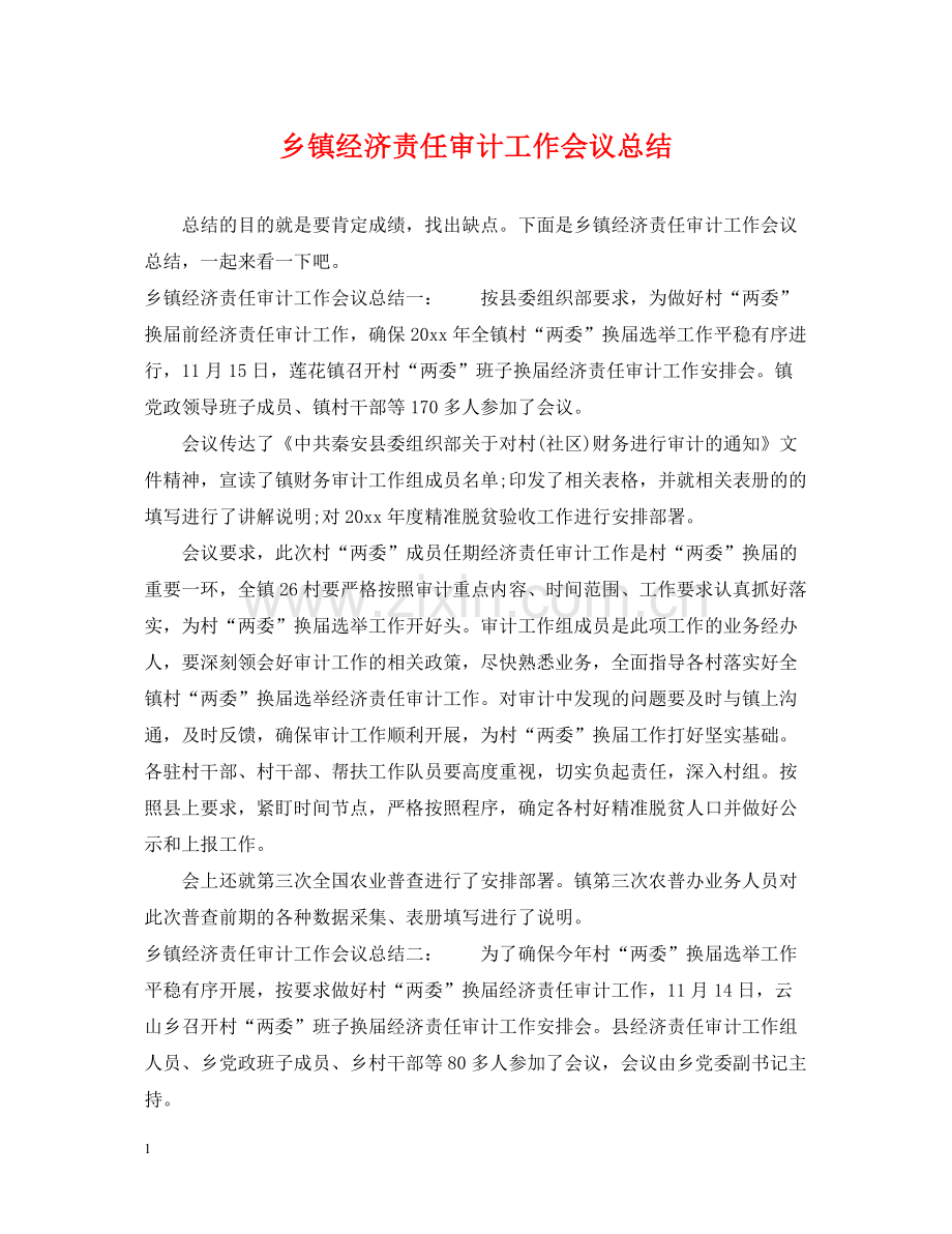 乡镇经济责任审计工作会议总结.docx_第1页