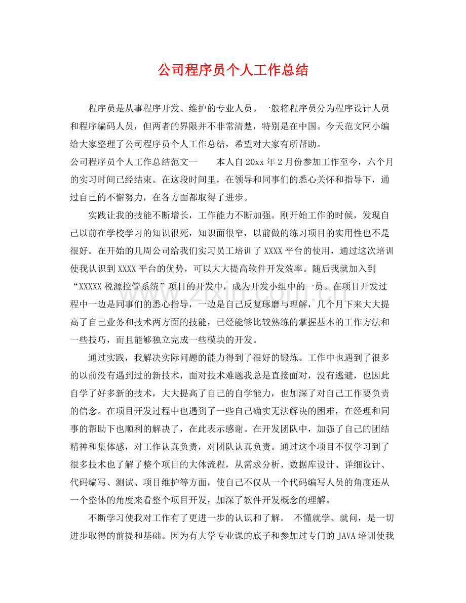 公司程序员个人工作总结 .docx_第1页