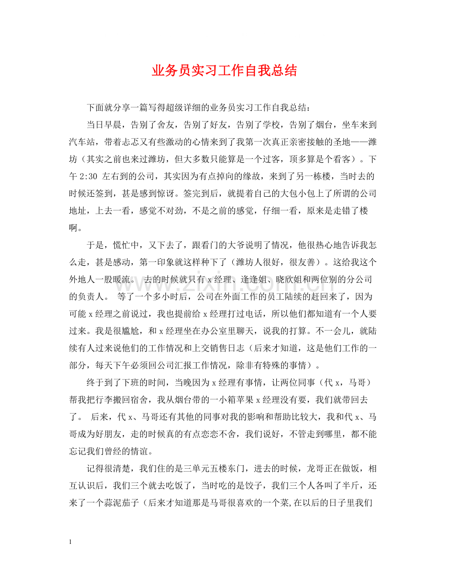 业务员实习工作自我总结.docx_第1页