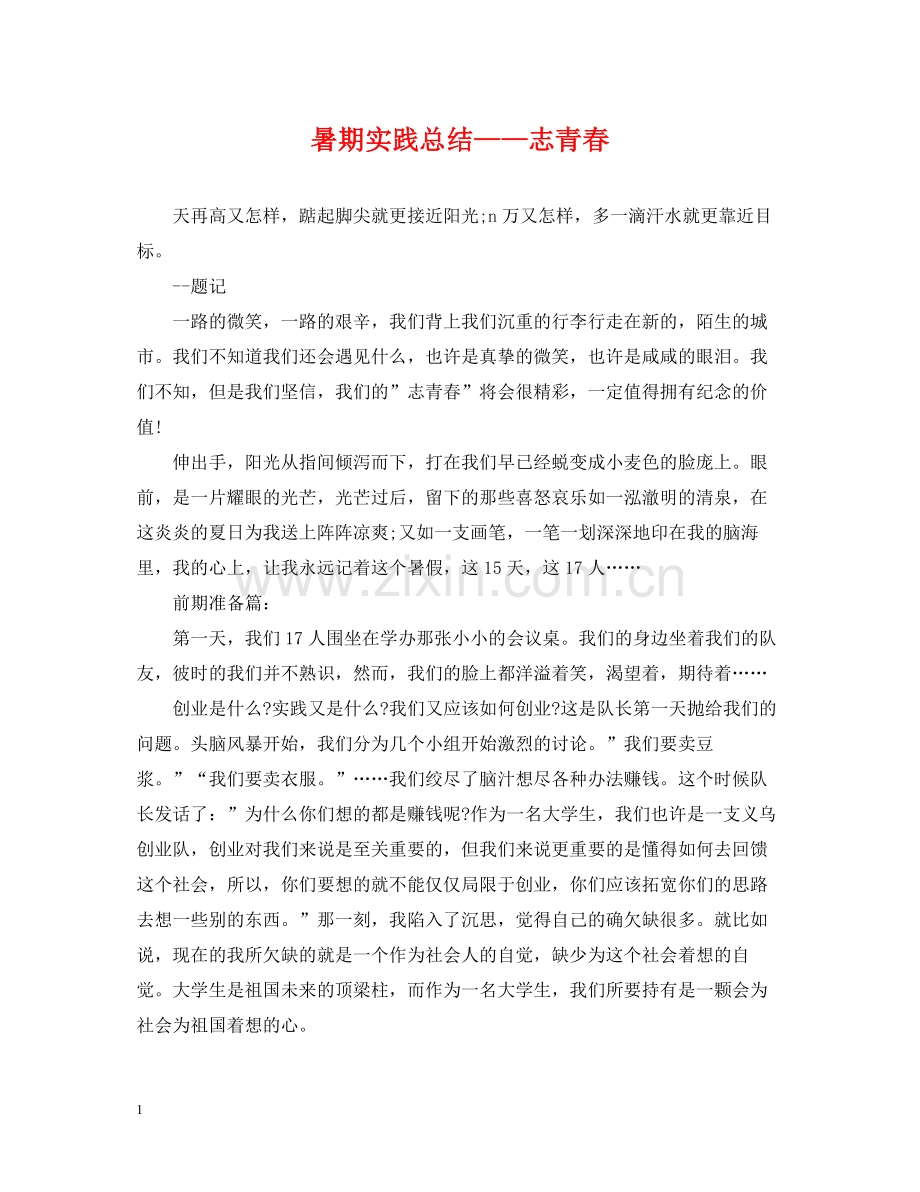 暑期实践总结志青春.docx_第1页