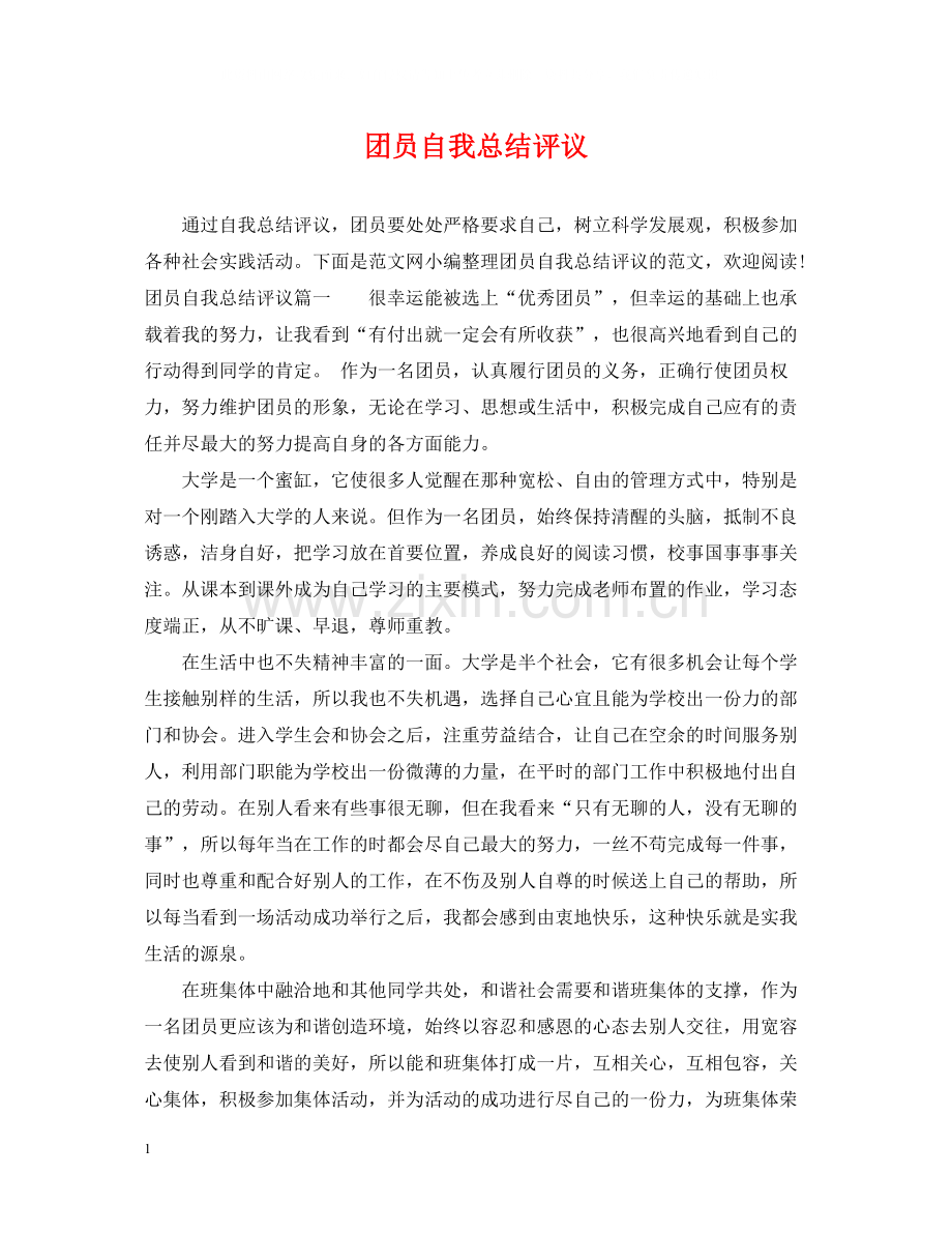 团员自我总结评议.docx_第1页