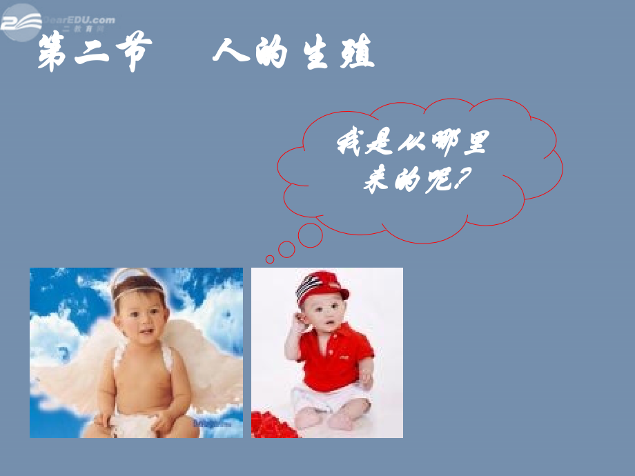 八年级生物上册 人的生殖课件 苏科版 课件.ppt_第1页