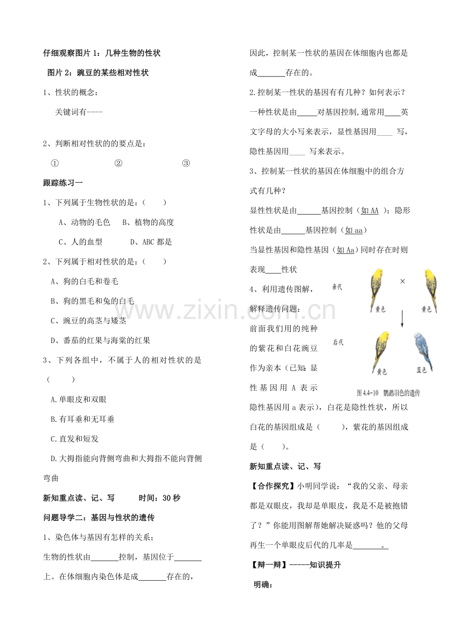 八年级生物上册 4.4.2 性状的遗传教案（1）（新版）济南版-（新版）济南版初中八年级上册生物教案.doc_第2页