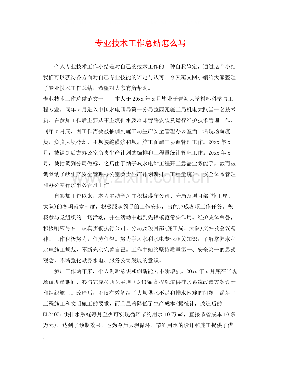 专业技术工作总结怎么写2.docx_第1页