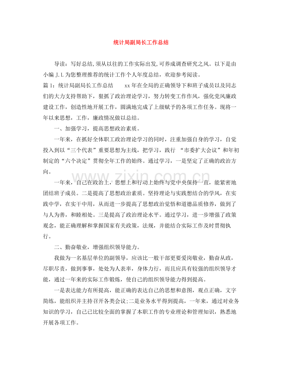 统计局副局长工作总结.docx_第1页