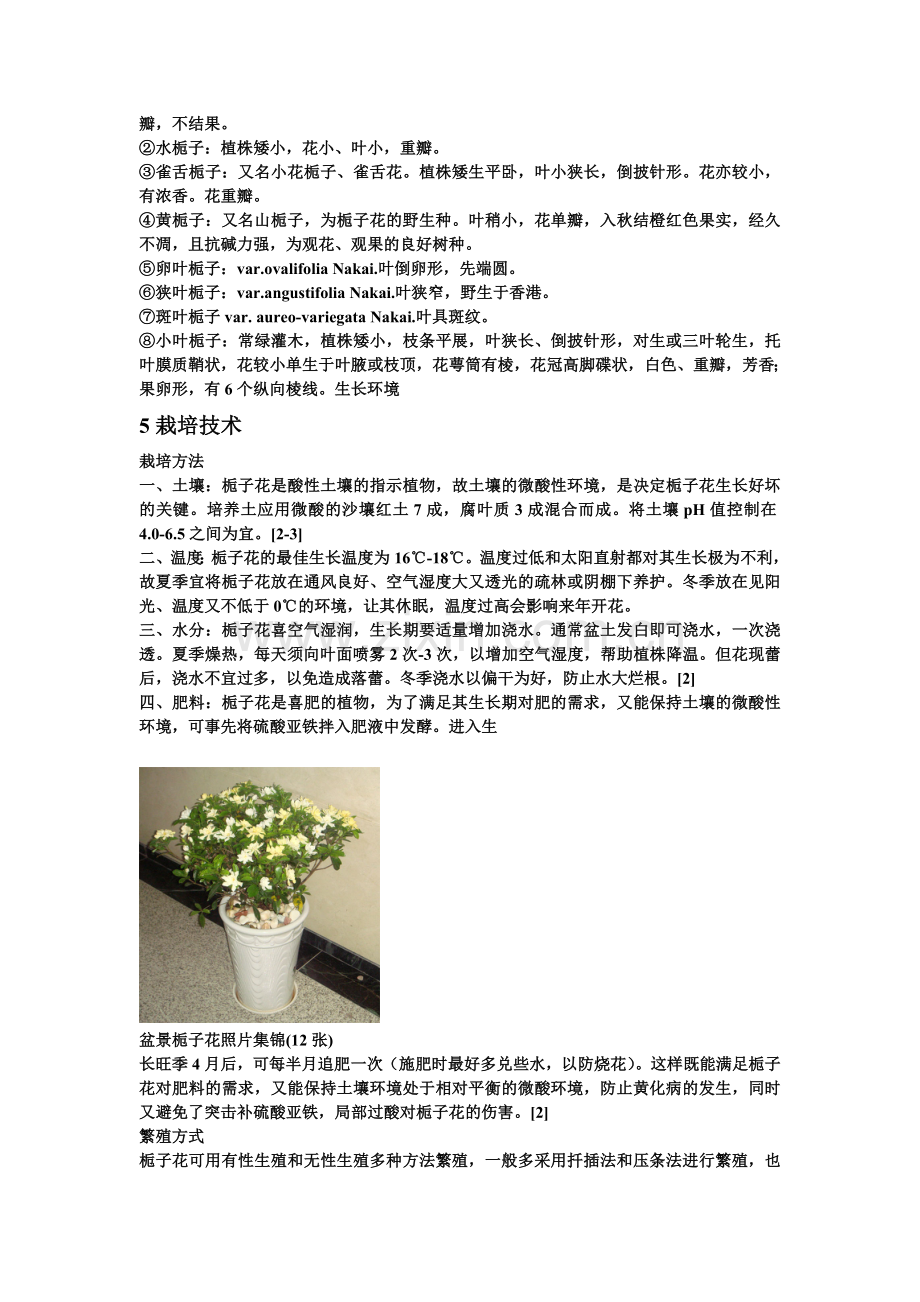 栀子花的栽培.doc_第2页