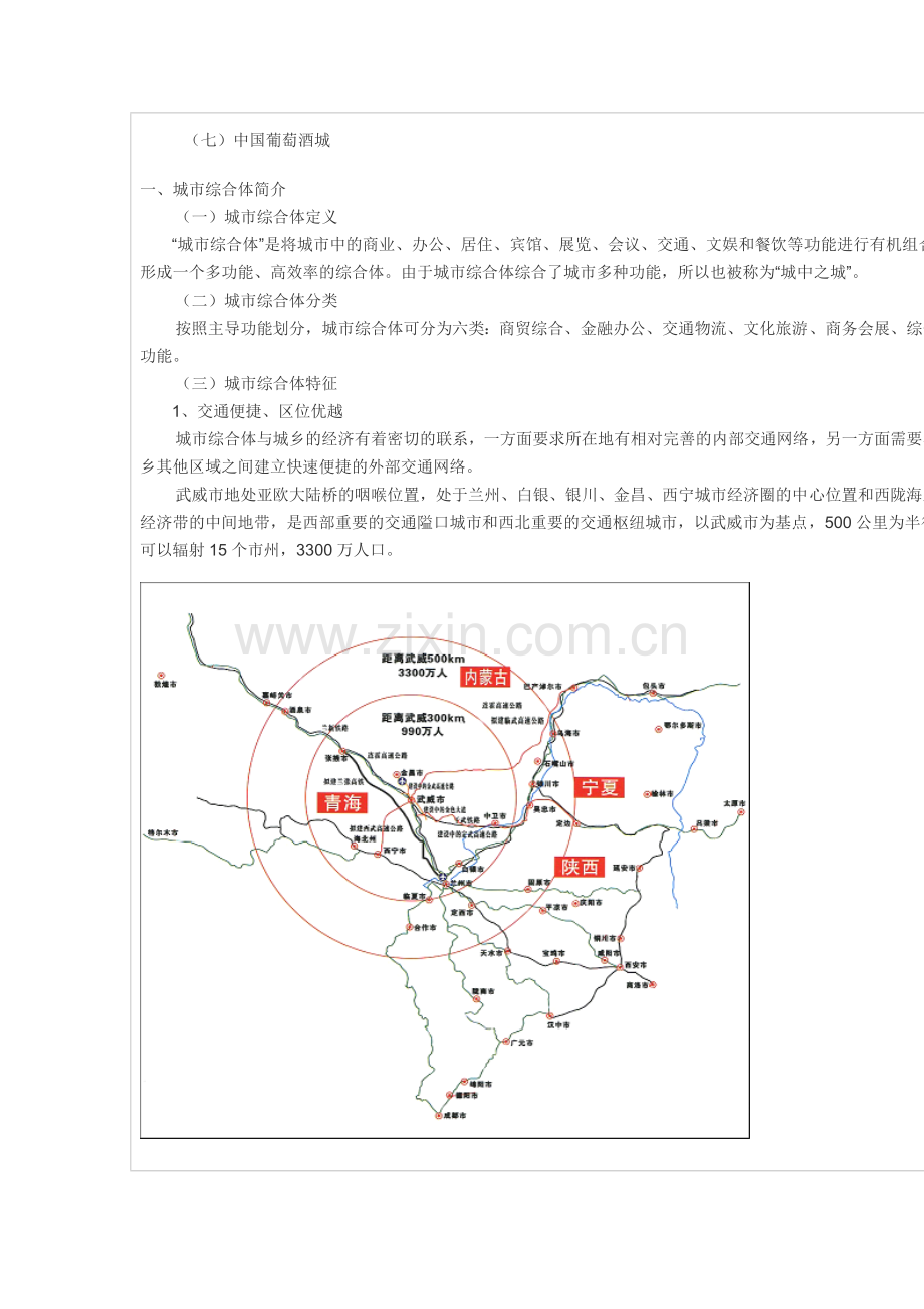 武威市凉州区主城区城市综合体项目策划书.doc_第2页