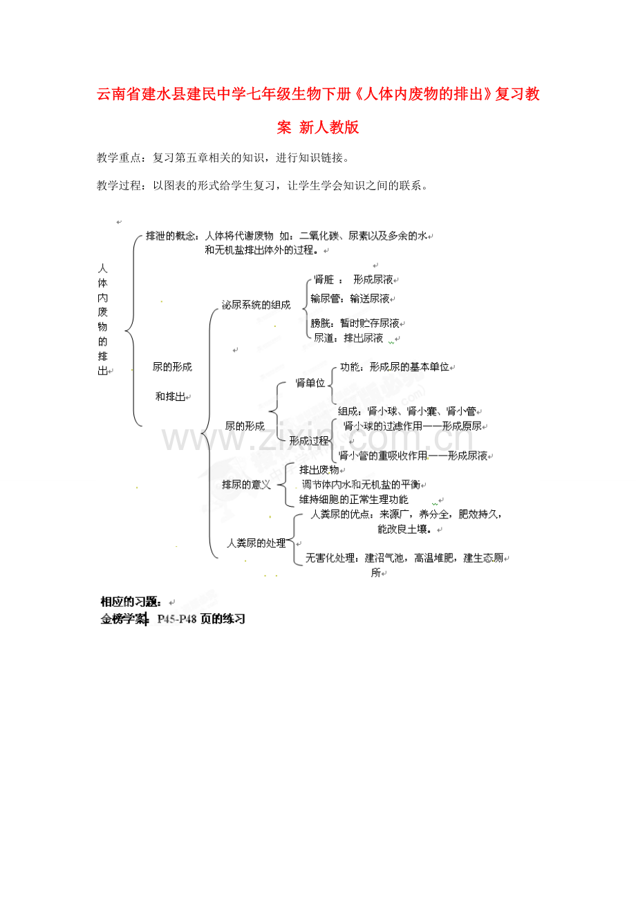 云南省建水县建民中学七年级生物下册《人体内废物的排出》复习教案 新人教版.doc_第1页
