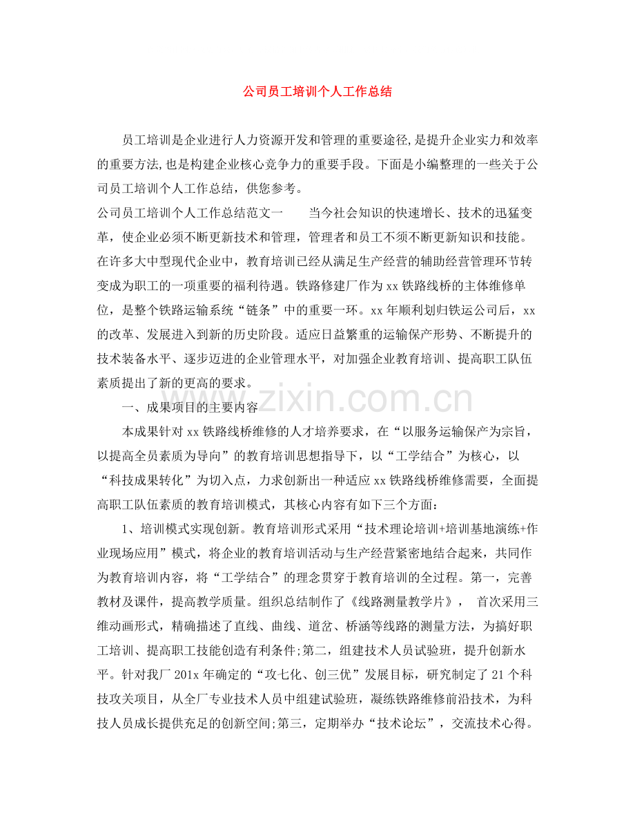 公司员工培训个人工作总结.docx_第1页