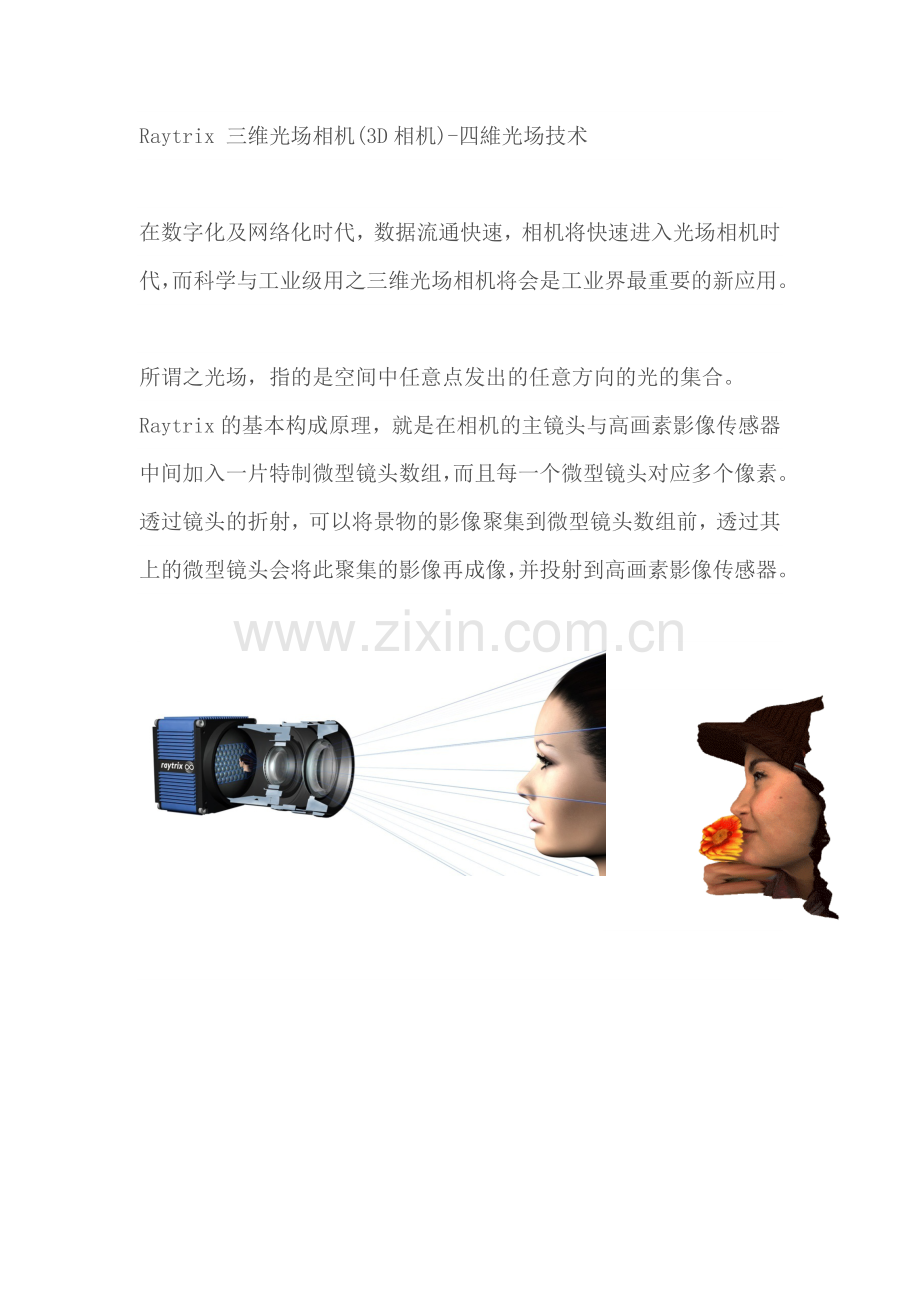 Raytrix 三维光场相机.docx_第1页