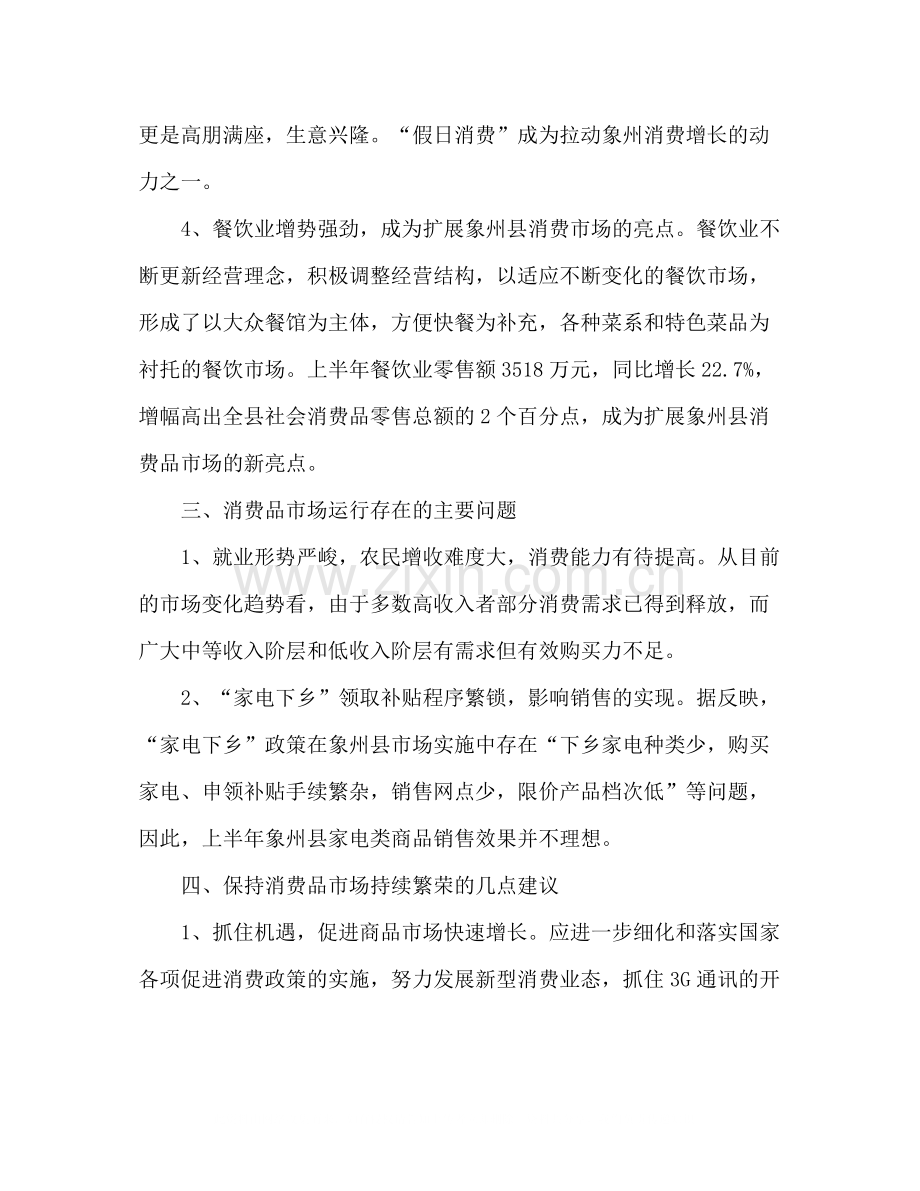 县城消费品市场运行总结.docx_第2页