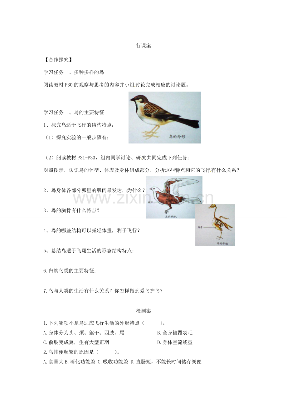 八年级生物上册 5.1.6 鸟导学案（无答案）（新版）新人教版.doc_第2页