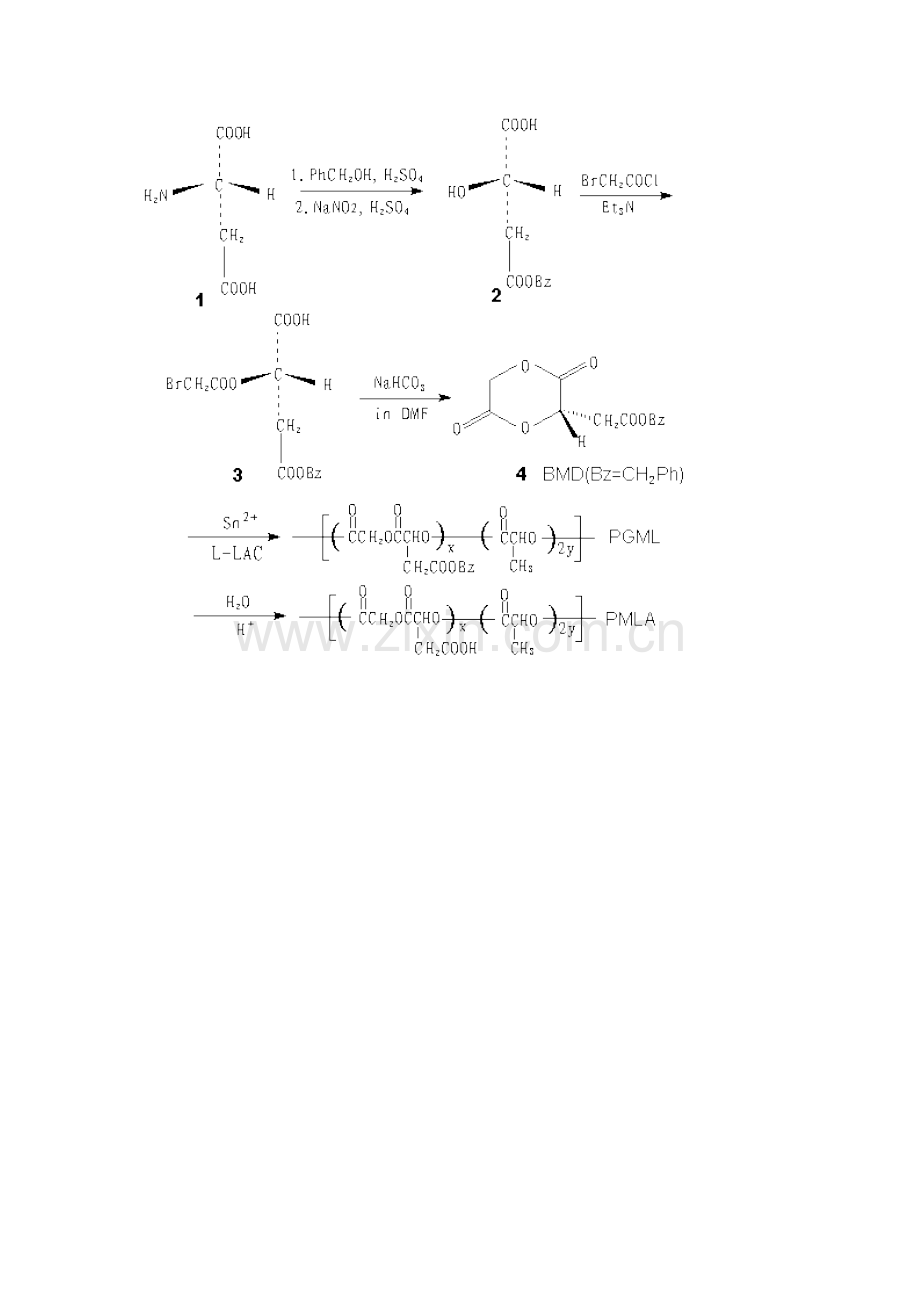 组织工程用聚乳酸系生物可降解高分子材料修饰研究进展.doc_第2页
