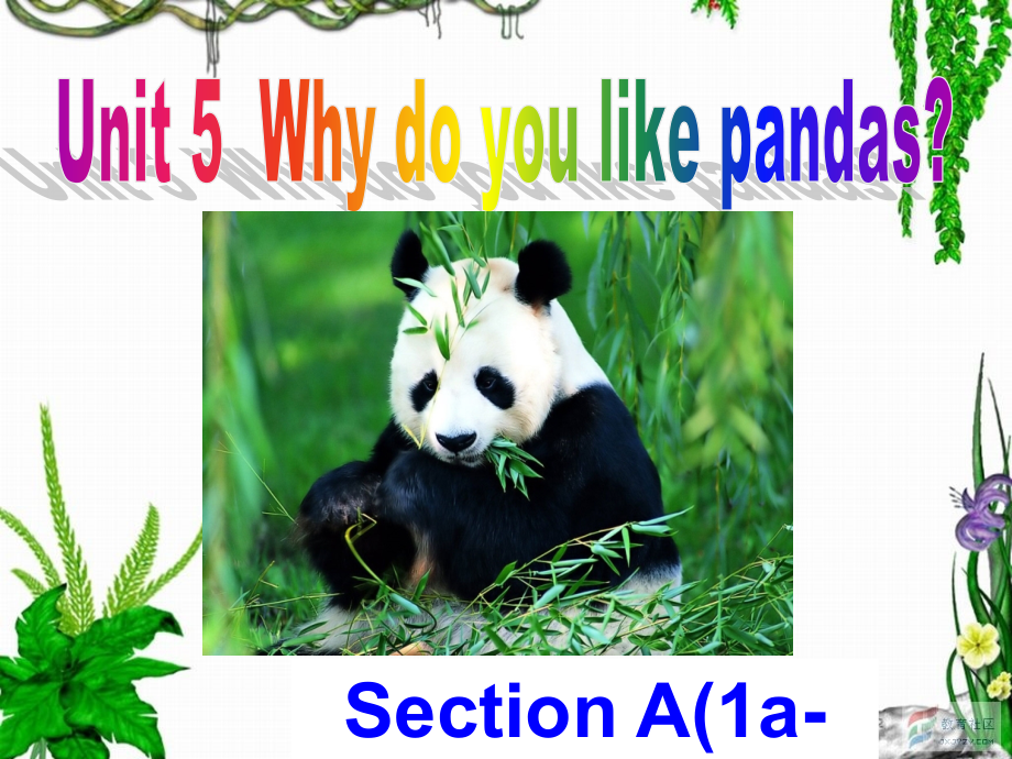 七下Unit5SectionAwhydoyoulikePandas(1a-1c).ppt_第1页
