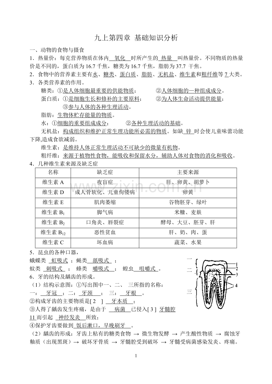 九上第四章知识点.doc_第1页