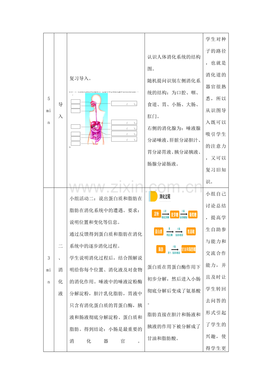 秋七年级生物下册 9.2 人体的消化与吸收（第2课时）教学设计 （新版）苏教版-（新版）苏教版初中七年级下册生物教案.doc_第2页