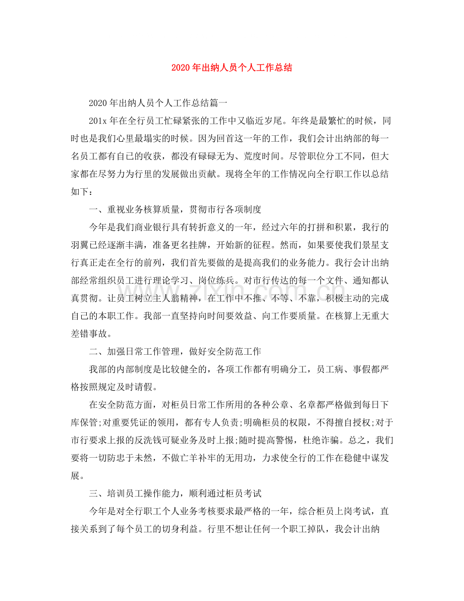 2020年出纳人员个人工作总结.docx_第1页