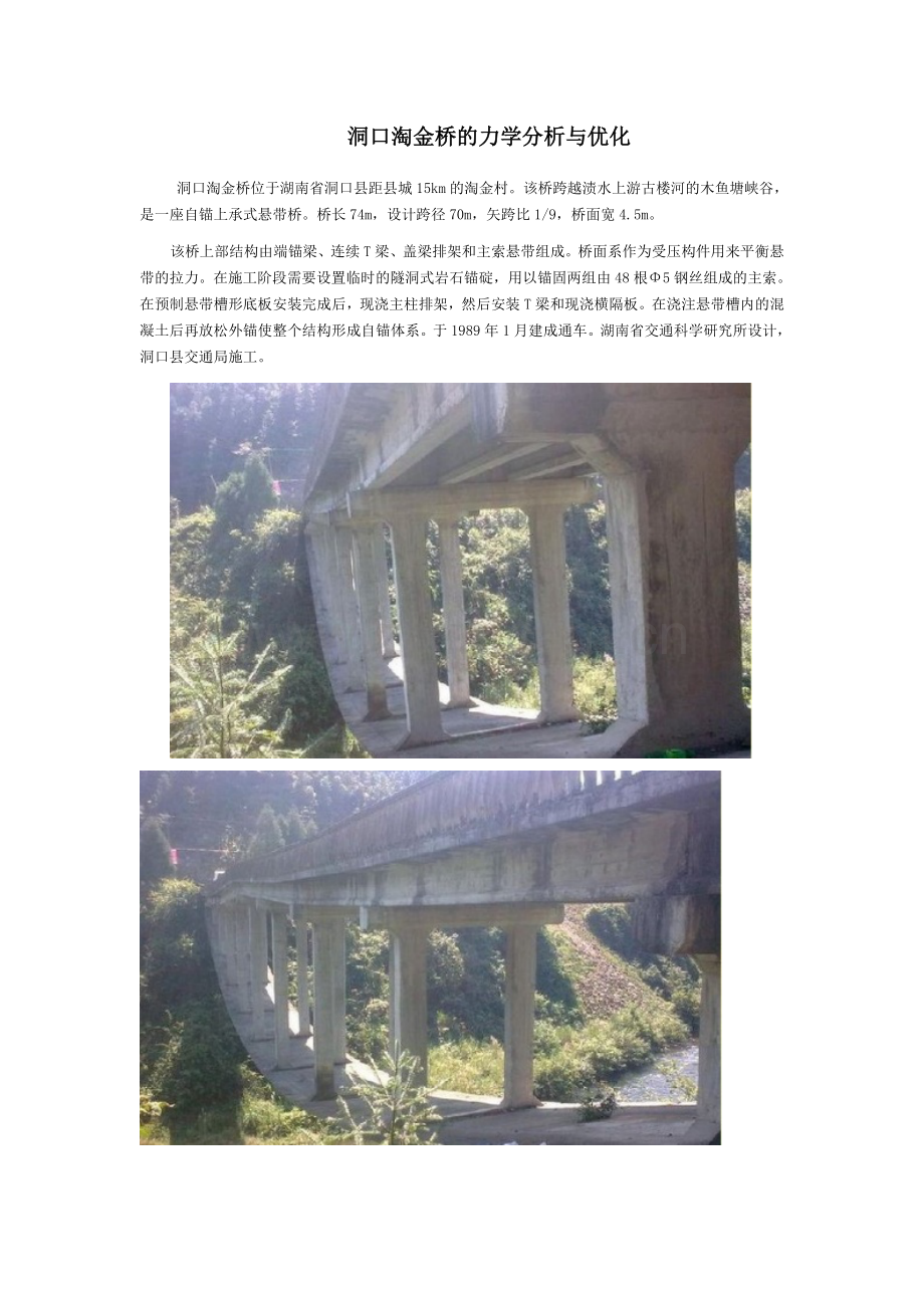 洞口淘金桥的力学分析与优化.doc_第1页