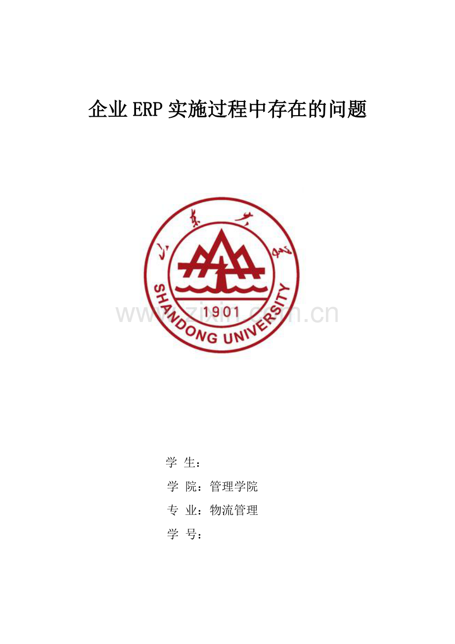 企业ERP实施过程中存在的问题.doc_第1页