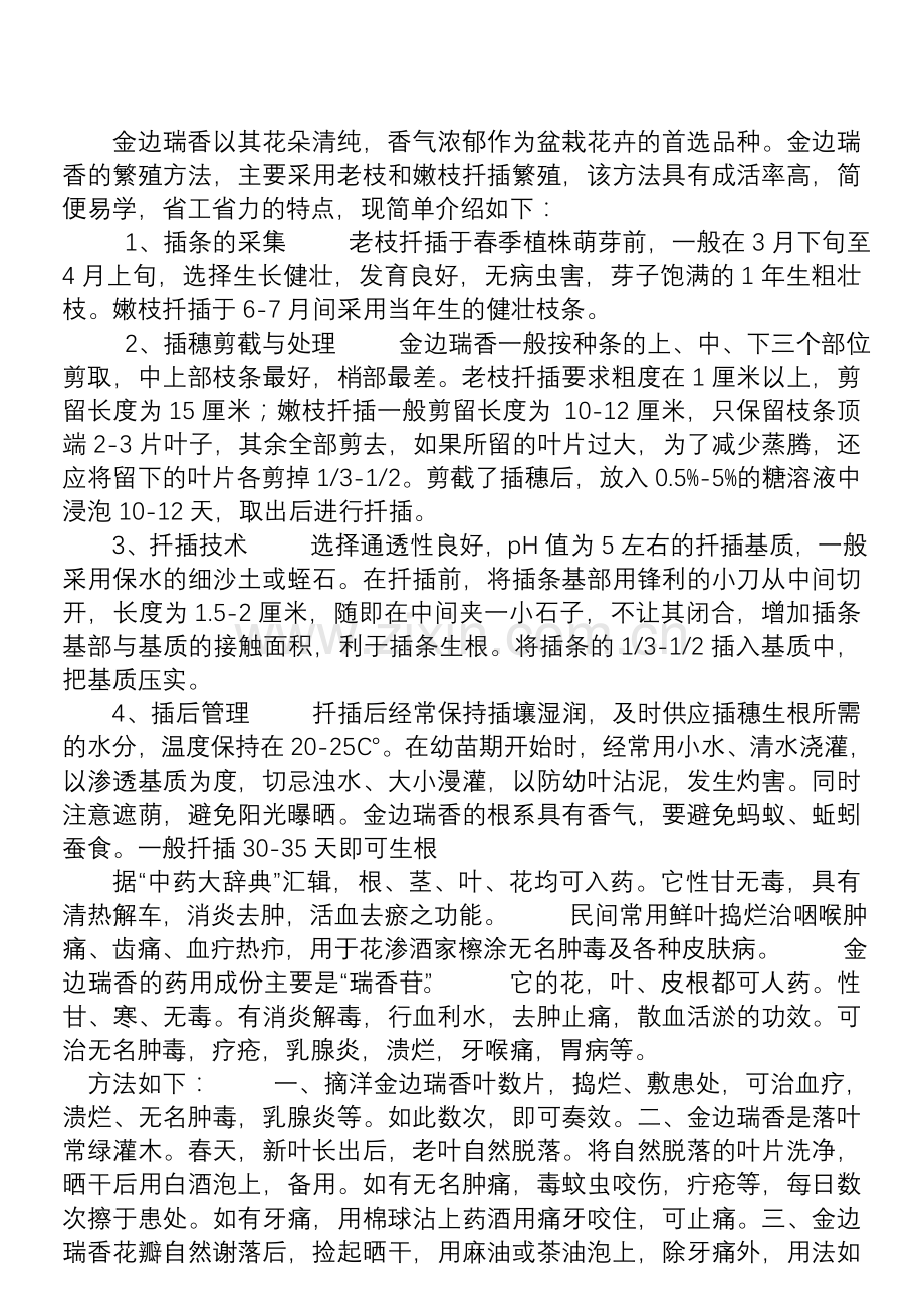 金边瑞香以其花朵清纯.doc_第1页
