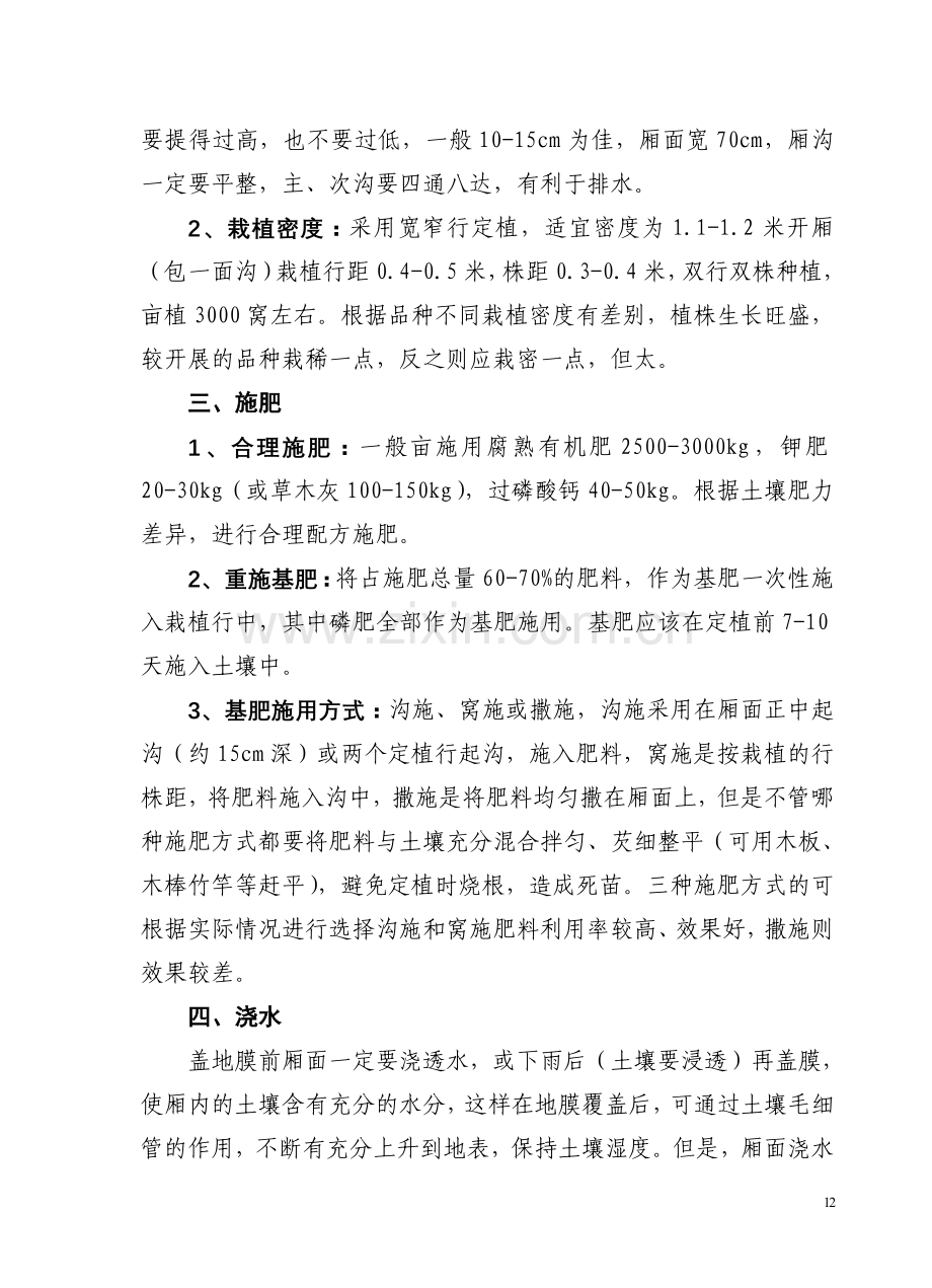 辣椒地膜覆盖栽培技术.doc_第2页