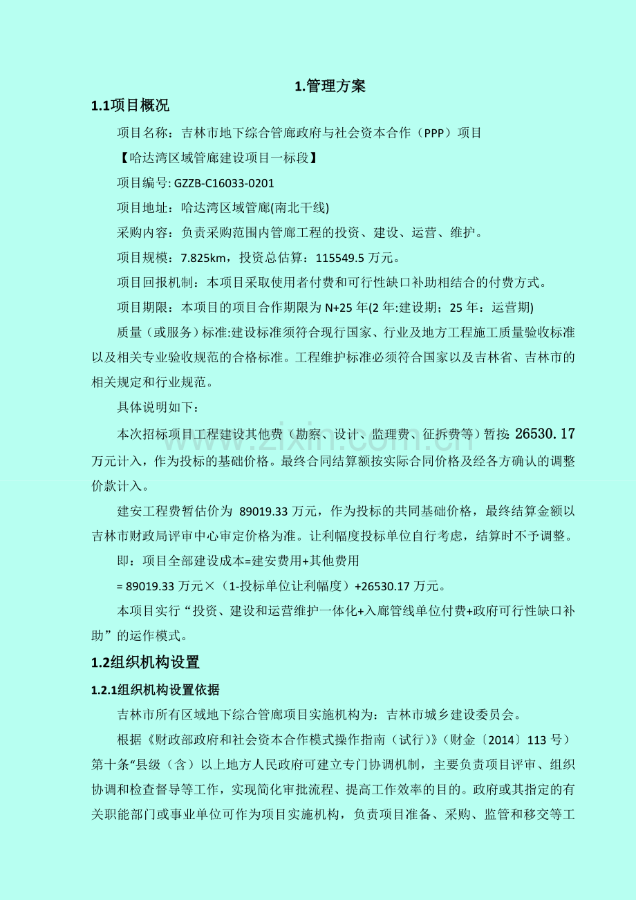 某市地下综合管廊管理、建设及运营方案.doc_第1页