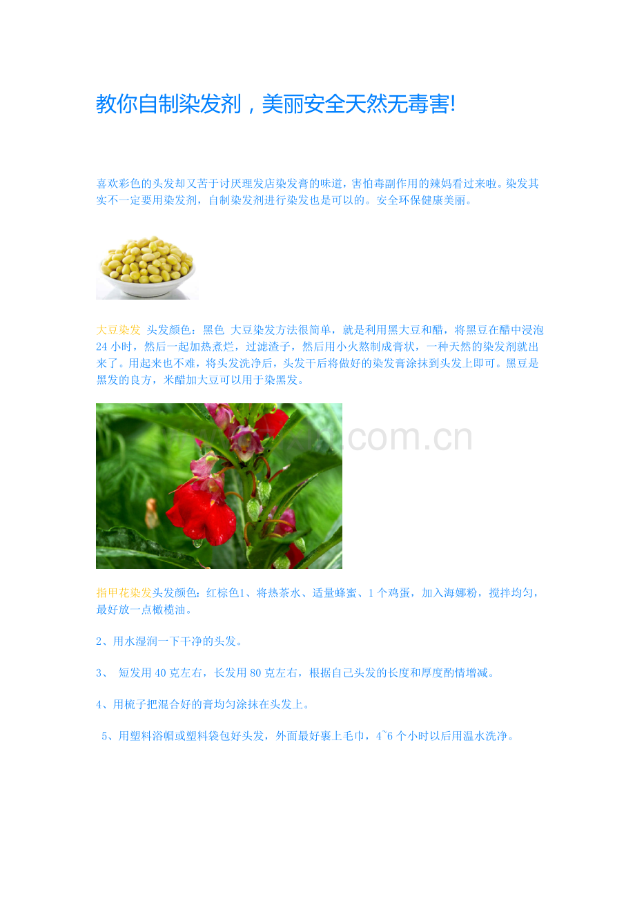 教你自制染发剂.doc_第1页