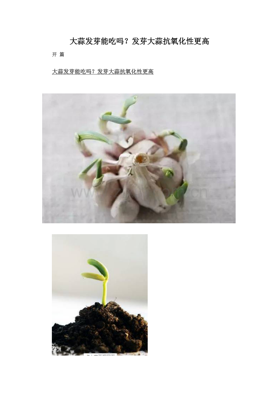 大蒜发芽能吃吗？发芽大蒜抗氧化性更高.docx_第1页