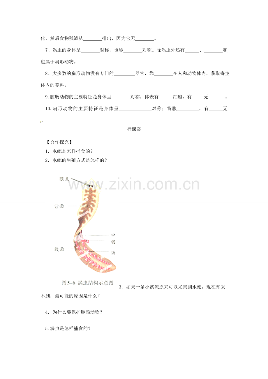 八年级生物上册 5.1.1 腔肠动物和扁形动物导学案（无答案）（新版）新人教版.doc_第2页