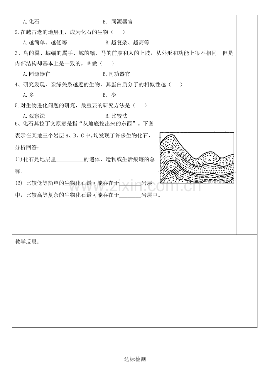 八年级生物下册 5.1.2 生物进化的证据导学案（无答案）（新版）济南版.doc_第2页
