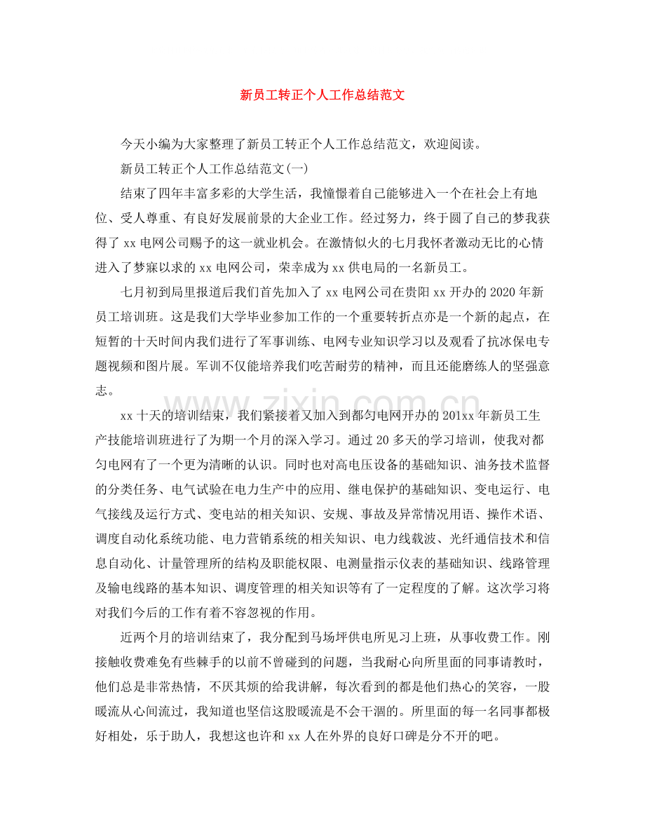 新员工转正个人工作总结范文.docx_第1页